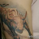 photo tattoo bull 13.11.2018 №284 - original drawing example - tattoovalue.net