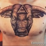 photo tattoo bull 13.11.2018 №303 - original drawing example - tattoovalue.net