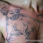 photo tattoo bull 13.11.2018 №310 - original drawing example - tattoovalue.net