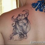 photo tattoo bull 13.11.2018 №311 - original drawing example - tattoovalue.net