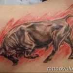 photo tattoo bull 13.11.2018 №313 - original drawing example - tattoovalue.net