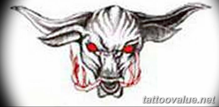 photo tattoo bull 13.11.2018 №330 - original drawing example - tattoovalue.net