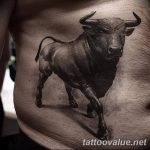 photo tattoo bull 13.11.2018 №339 - original drawing example - tattoovalue.net