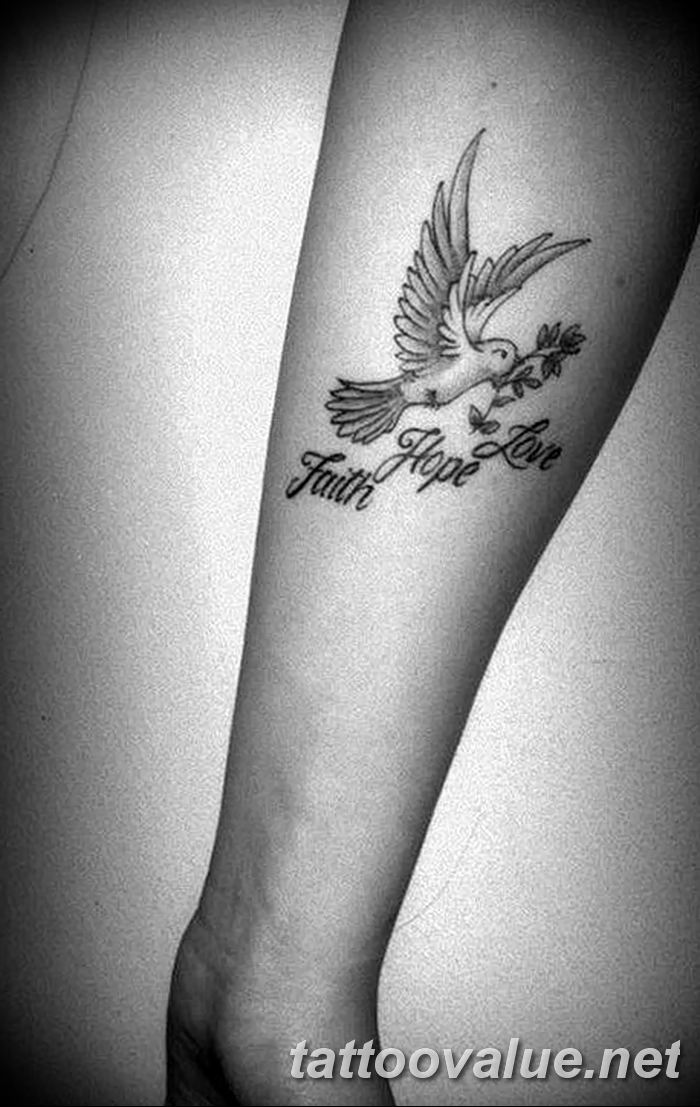 Doves as symbols Holy Spirit Peace symbols Tattoo symbol love white  vertebrate png  PNGWing
