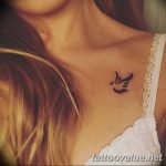 photo tattoo dove 29.11.2018 №018 - example of a tattoo with a dove - tattoovalue.net
