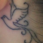 photo tattoo dove 29.11.2018 №102 - example of a tattoo with a dove - tattoovalue.net
