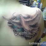 photo tattoo dove 29.11.2018 №118 - example of a tattoo with a dove - tattoovalue.net