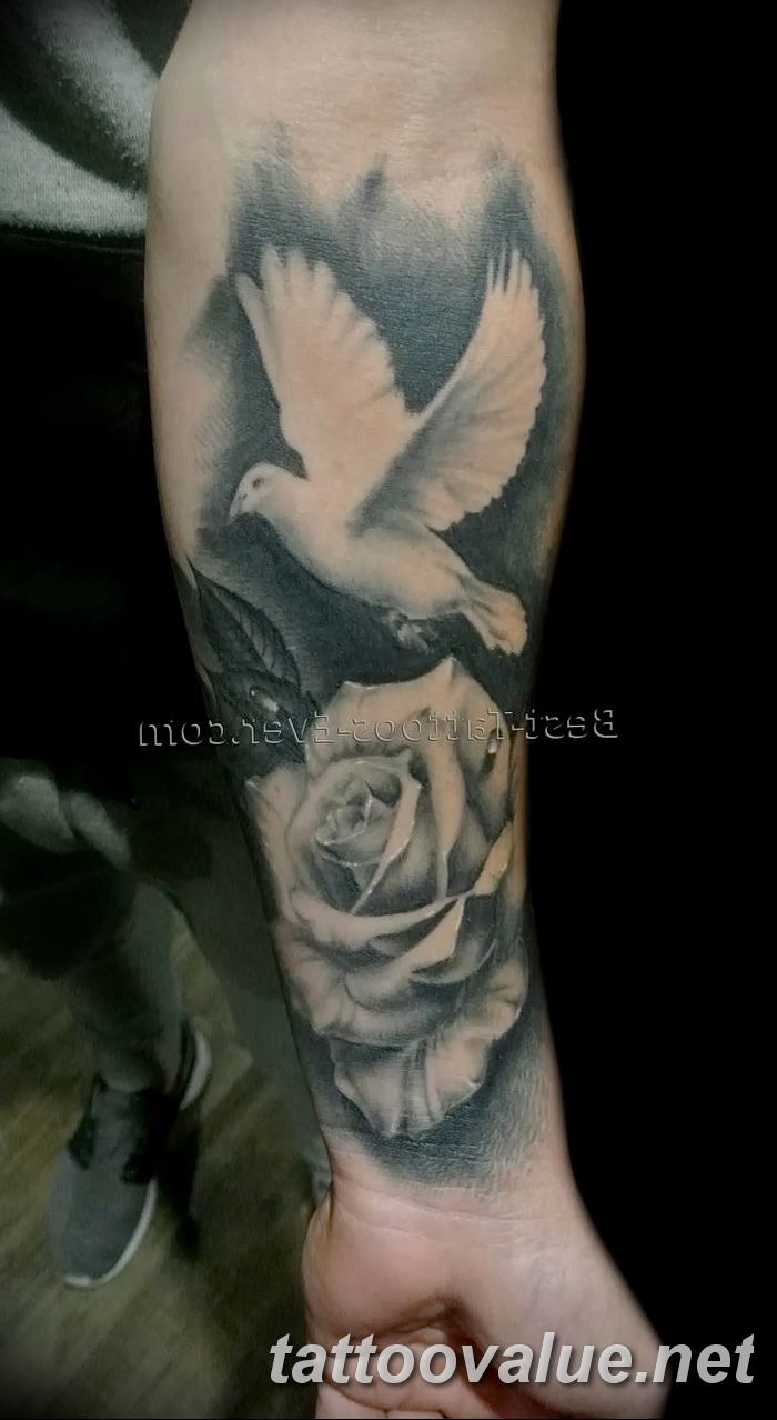 Dove With Rose Tattoo Dove And Rose Tattoo 3 | Best Tattoos Ever -  