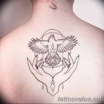 photo tattoo dove 29.11.2018 №173 - example of a tattoo with a dove - tattoovalue.net