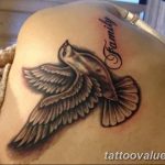 photo tattoo dove 29.11.2018 №186 - example of a tattoo with a dove - tattoovalue.net