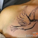 photo tattoo dove 29.11.2018 №231 - example of a tattoo with a dove - tattoovalue.net
