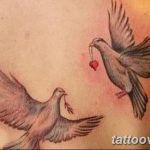 photo tattoo dove 29.11.2018 №247 - example of a tattoo with a dove - tattoovalue.net