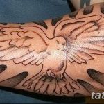 photo tattoo dove 29.11.2018 №003 - example of a tattoo with a dove - tattoovalue.net