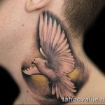photo tattoo dove 29.11.2018 №005 - example of a tattoo with a dove - tattoovalue.net