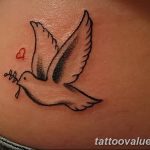 photo tattoo dove 29.11.2018 №008 - example of a tattoo with a dove - tattoovalue.net