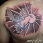 photo tattoo dove 29.11.2018 №009 - example of a tattoo with a dove - tattoovalue.net