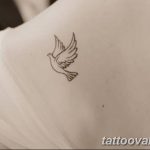 photo tattoo dove 29.11.2018 №012 - example of a tattoo with a dove - tattoovalue.net