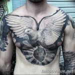 photo tattoo dove 29.11.2018 №019 - example of a tattoo with a dove - tattoovalue.net