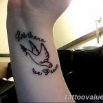 photo tattoo dove 29.11.2018 №026 - example of a tattoo with a dove - tattoovalue.net