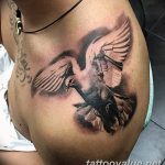 photo tattoo dove 29.11.2018 №029 - example of a tattoo with a dove - tattoovalue.net