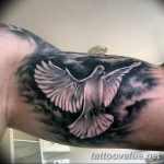 photo tattoo dove 29.11.2018 №030 - example of a tattoo with a dove - tattoovalue.net