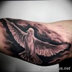 photo tattoo dove 29.11.2018 №032 - example of a tattoo with a dove - tattoovalue.net