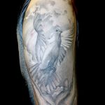 photo tattoo dove 29.11.2018 №035 - example of a tattoo with a dove - tattoovalue.net