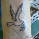 photo tattoo dove 29.11.2018 №038 - example of a tattoo with a dove - tattoovalue.net