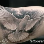 photo tattoo dove 29.11.2018 №040 - example of a tattoo with a dove - tattoovalue.net
