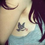photo tattoo dove 29.11.2018 №041 - example of a tattoo with a dove - tattoovalue.net