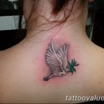 photo tattoo dove 29.11.2018 №042 - example of a tattoo with a dove - tattoovalue.net