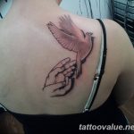 photo tattoo dove 29.11.2018 №043 - example of a tattoo with a dove - tattoovalue.net