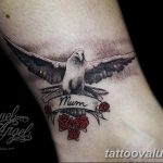 photo tattoo dove 29.11.2018 №046 - example of a tattoo with a dove - tattoovalue.net