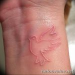 photo tattoo dove 29.11.2018 №047 - example of a tattoo with a dove - tattoovalue.net