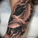 photo tattoo dove 29.11.2018 №059 - example of a tattoo with a dove - tattoovalue.net