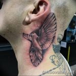 photo tattoo dove 29.11.2018 №060 - example of a tattoo with a dove - tattoovalue.net