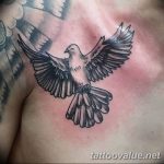 photo tattoo dove 29.11.2018 №061 - example of a tattoo with a dove - tattoovalue.net