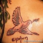 photo tattoo dove 29.11.2018 №066 - example of a tattoo with a dove - tattoovalue.net