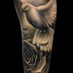 photo tattoo dove 29.11.2018 №067 - example of a tattoo with a dove - tattoovalue.net