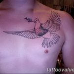photo tattoo dove 29.11.2018 №071 - example of a tattoo with a dove - tattoovalue.net