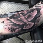photo tattoo dove 29.11.2018 №077 - example of a tattoo with a dove - tattoovalue.net