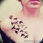 photo tattoo dove 29.11.2018 №081 - example of a tattoo with a dove - tattoovalue.net