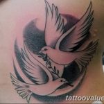 photo tattoo dove 29.11.2018 №082 - example of a tattoo with a dove - tattoovalue.net