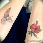 photo tattoo dove 29.11.2018 №086 - example of a tattoo with a dove - tattoovalue.net