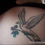 photo tattoo dove 29.11.2018 №087 - example of a tattoo with a dove - tattoovalue.net