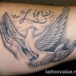 photo tattoo dove 29.11.2018 №089 - example of a tattoo with a dove - tattoovalue.net