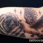 photo tattoo dove 29.11.2018 №090 - example of a tattoo with a dove - tattoovalue.net