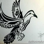 photo tattoo dove 29.11.2018 №094 - example of a tattoo with a dove - tattoovalue.net