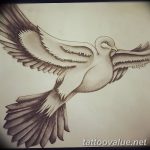 photo tattoo dove 29.11.2018 №095 - example of a tattoo with a dove - tattoovalue.net