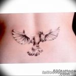 photo tattoo dove 29.11.2018 №104 - example of a tattoo with a dove - tattoovalue.net